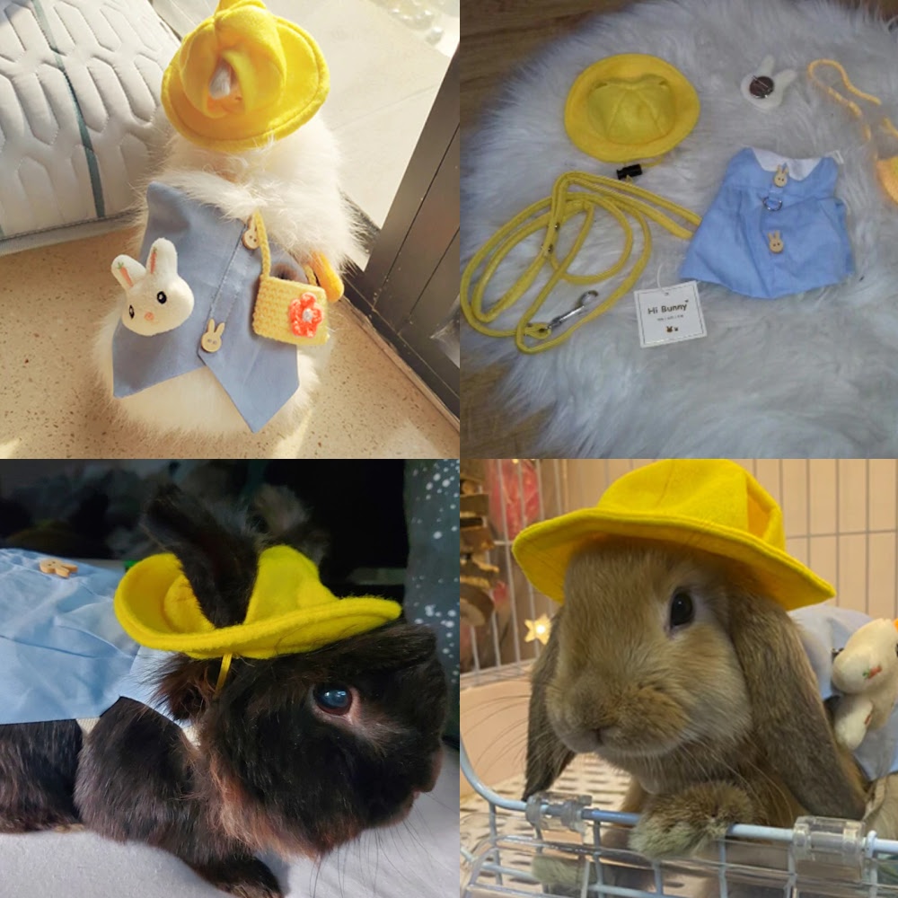 pet rabbit clothes