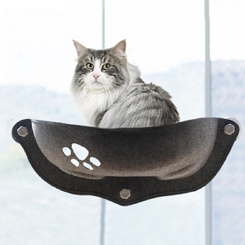 cat window bed