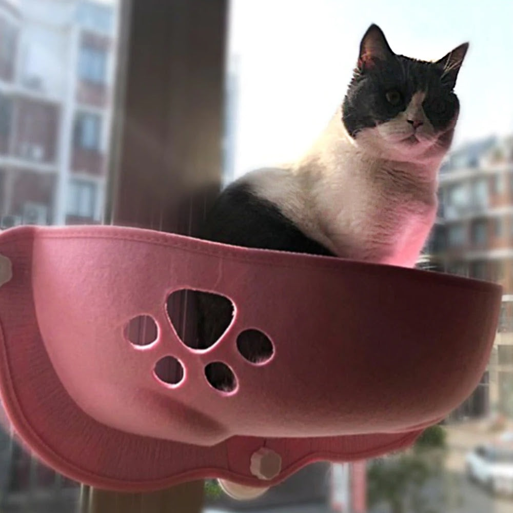 cat window bed in pink