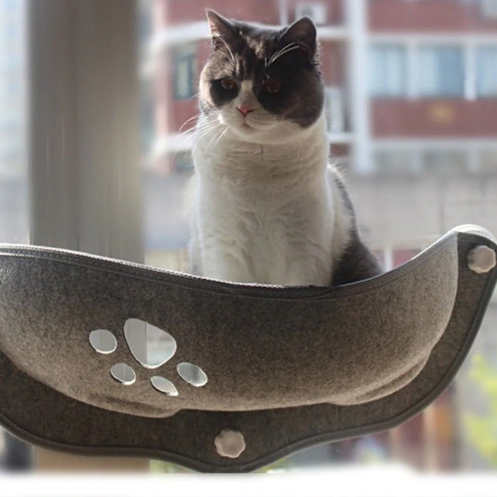 cat window bed