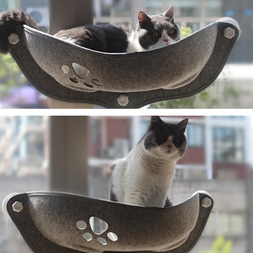 cat window bed