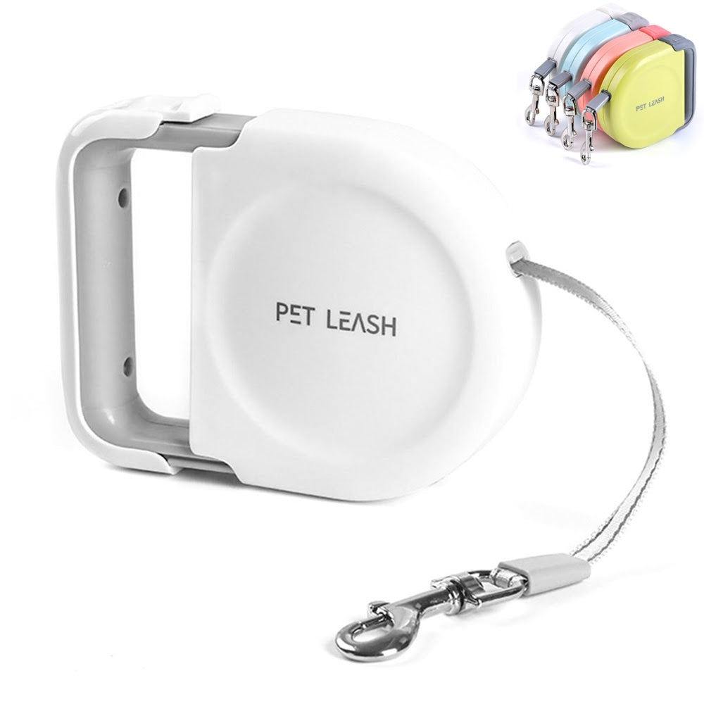 white retractable dog leash