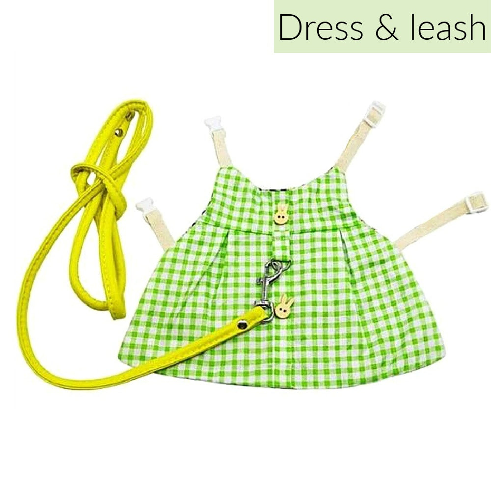 pet rabbit dress