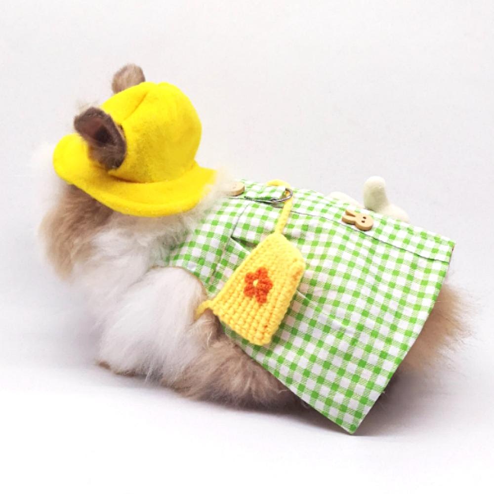 pet rabbit dress