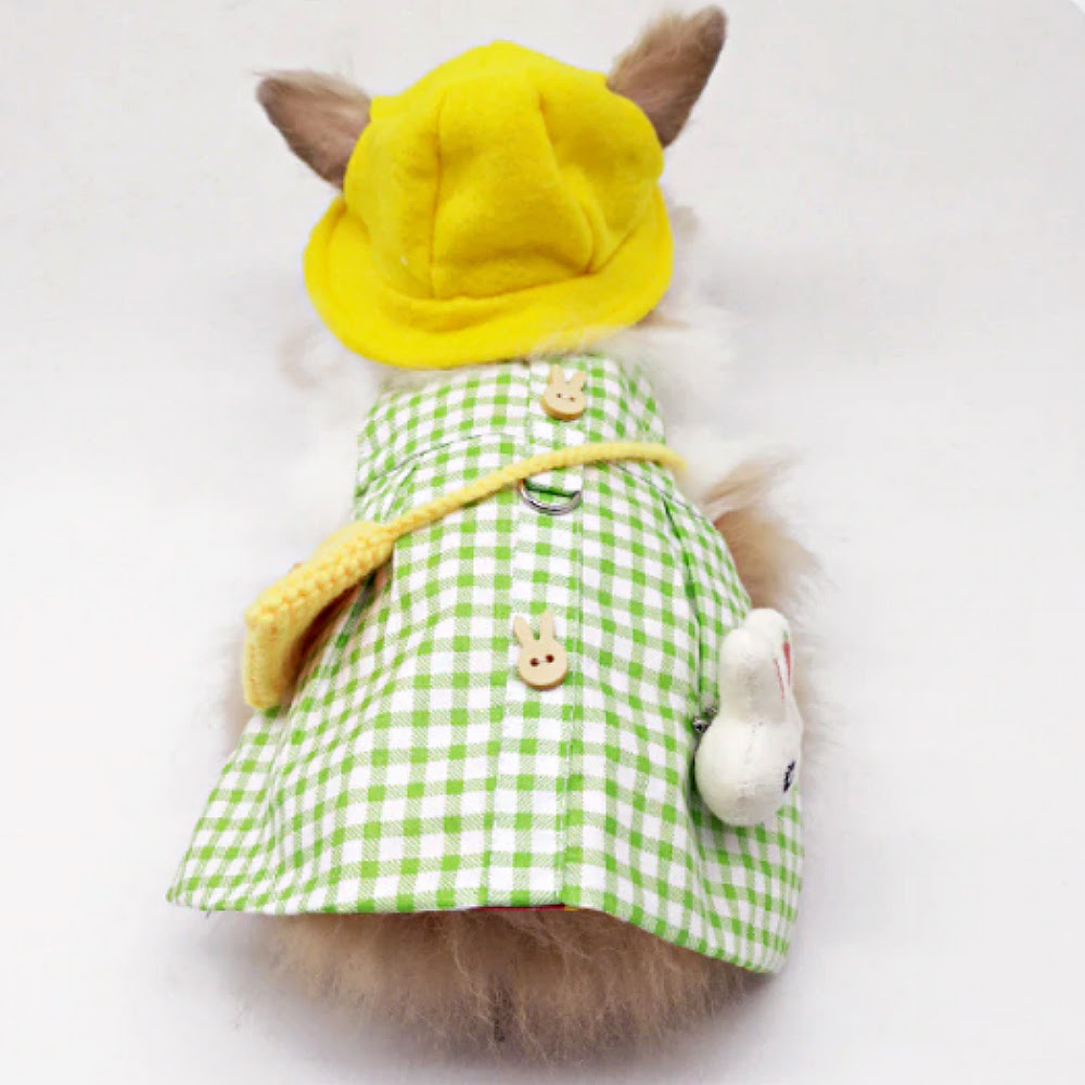 pet rabbit dress