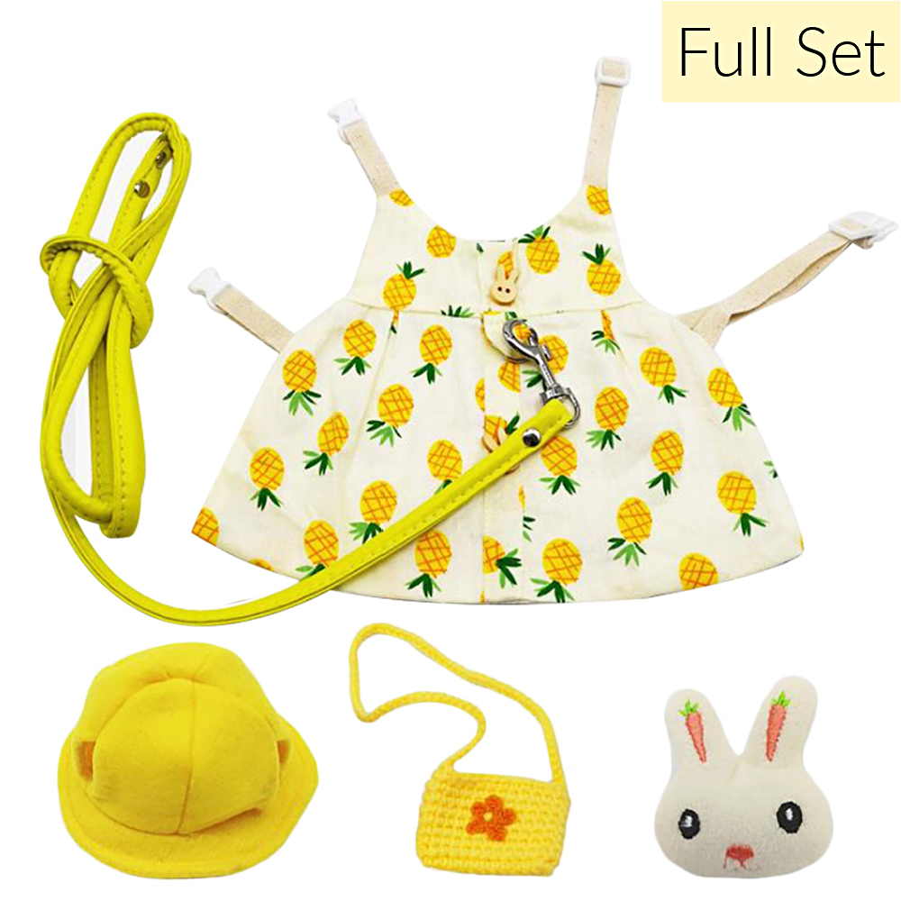 pet rabbit dress