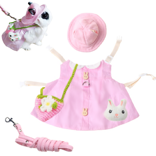 pet rabbit dress