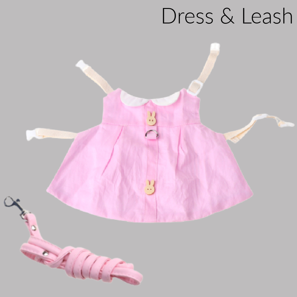 pet rabbit dress