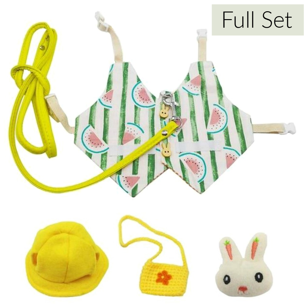 pet rabbit clothes