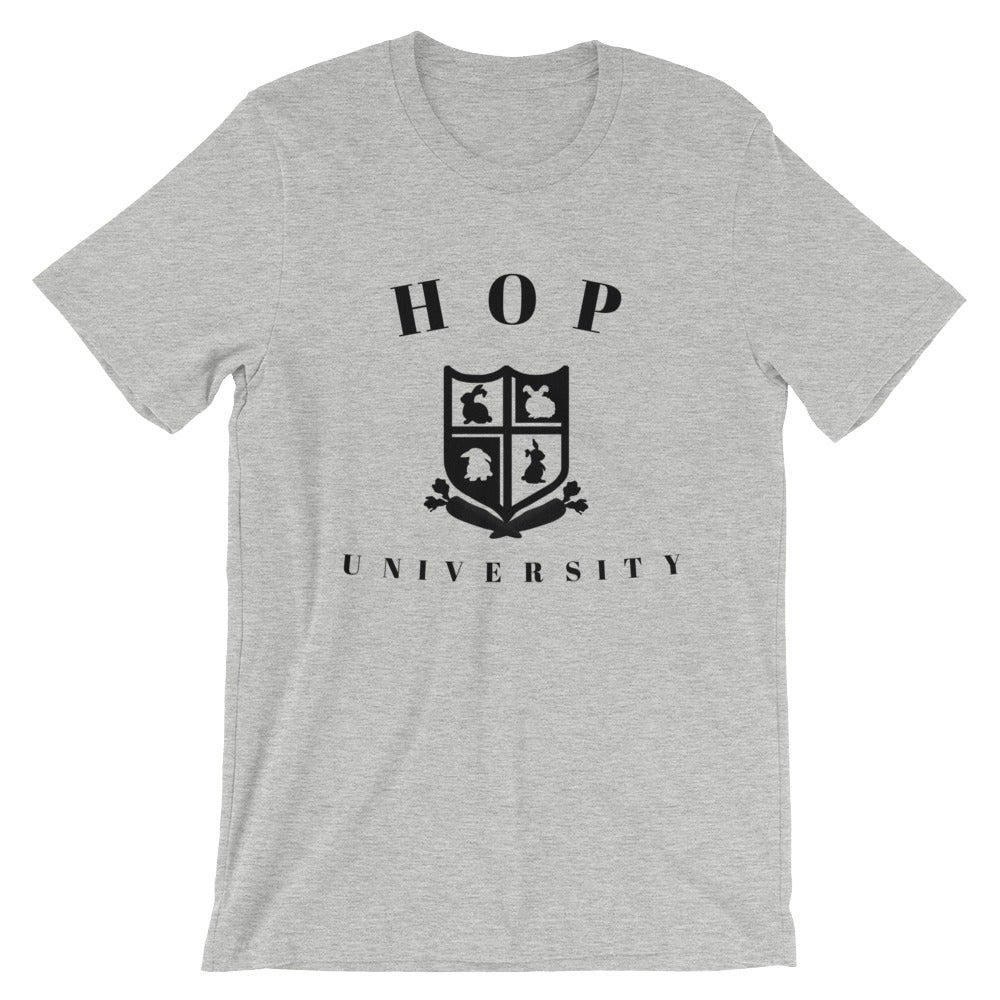 rabbit shirt in gray