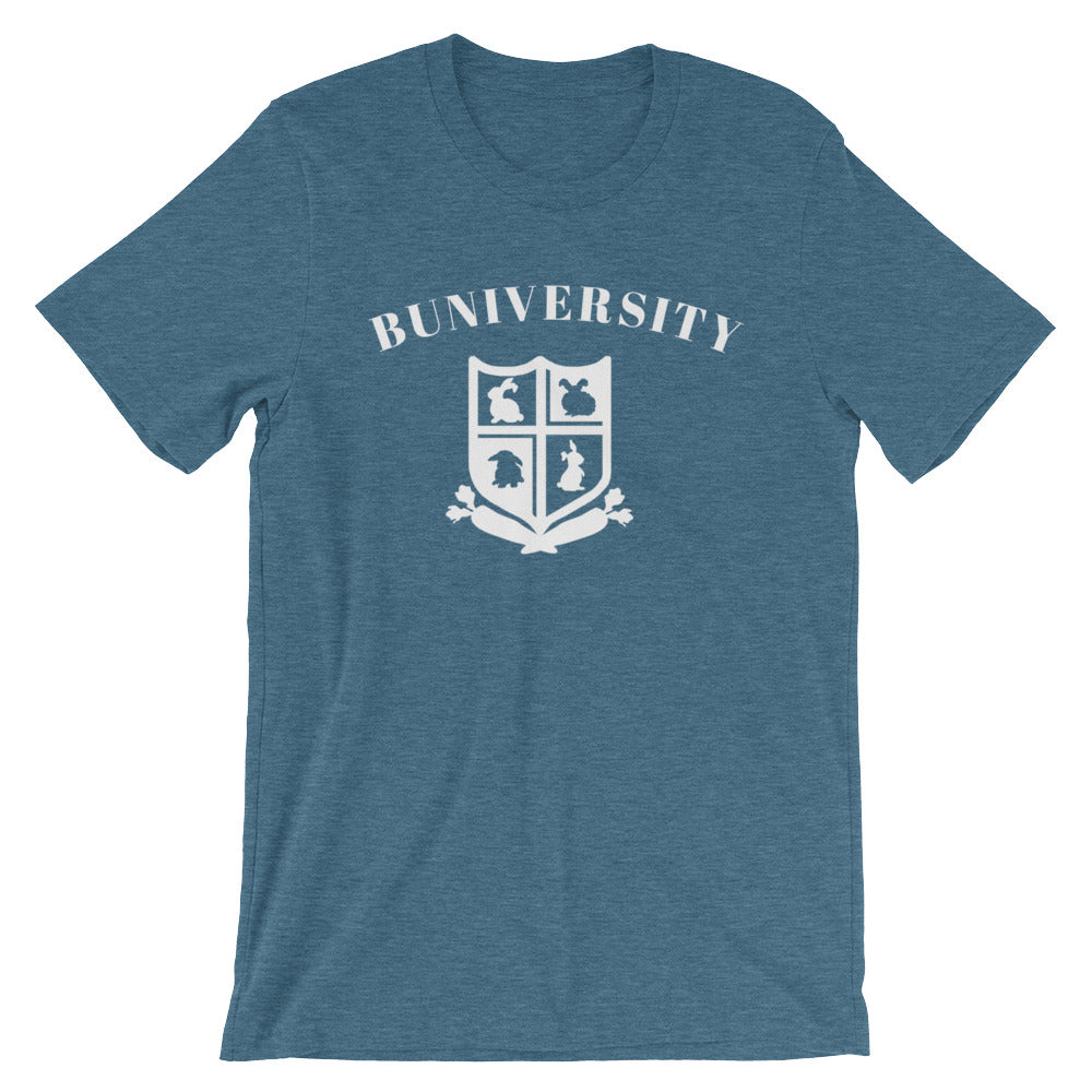 rabbit shirt in blue