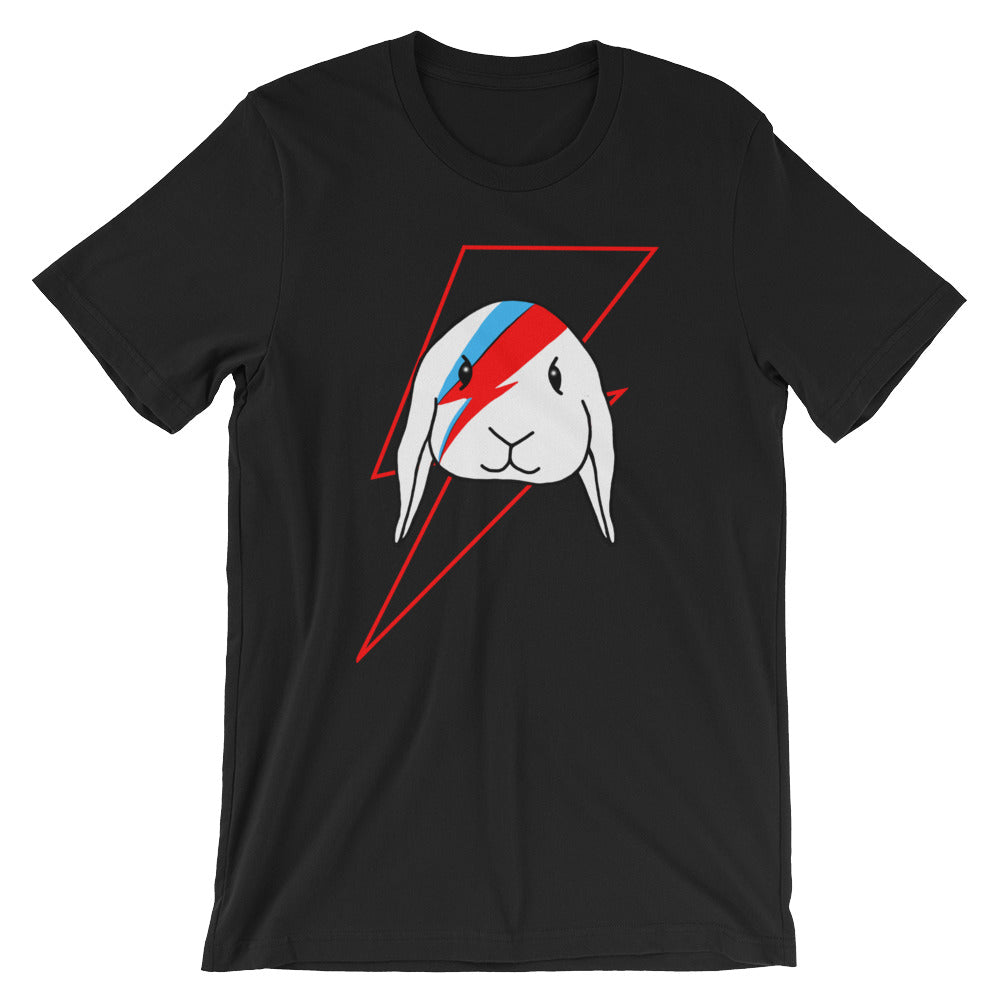Holland lop shirt in black