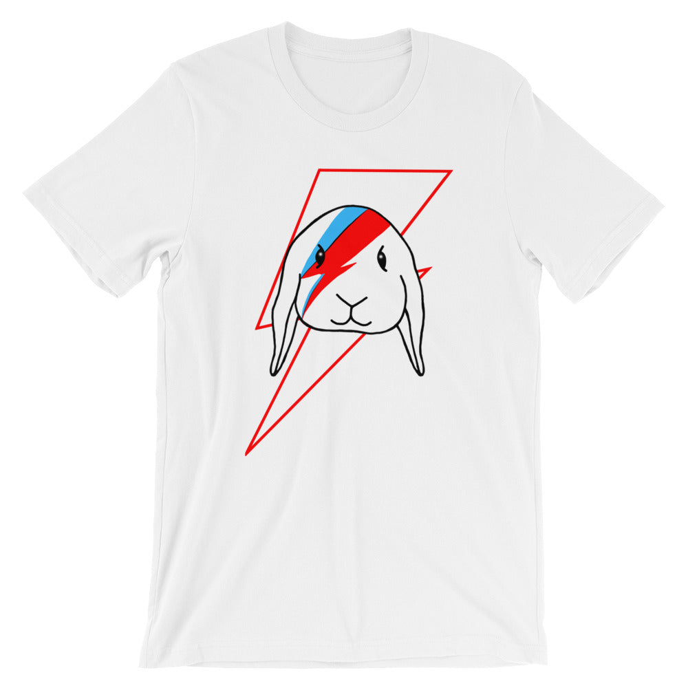 Holland lop shirt in white