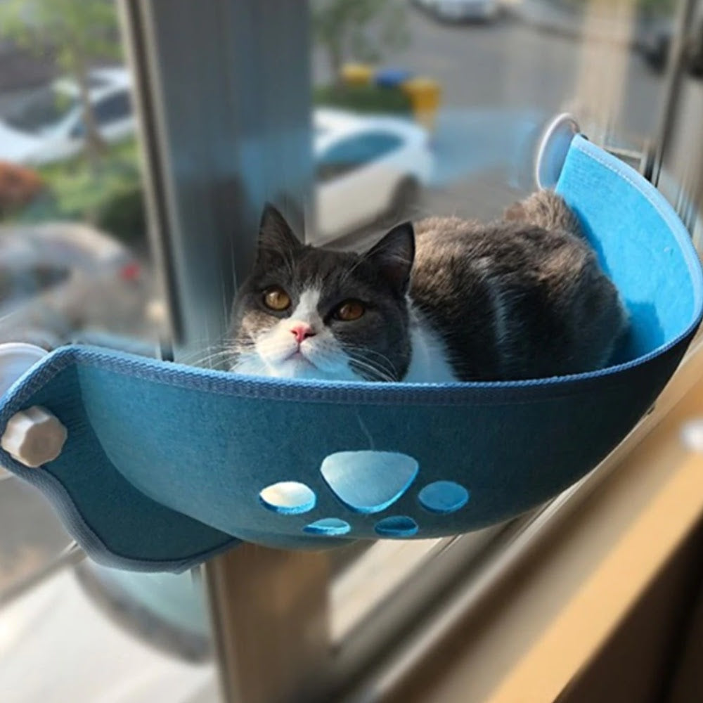 cat window bed  in blue