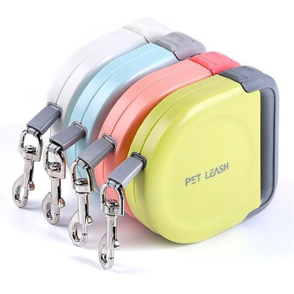 colorful retractable dog leash