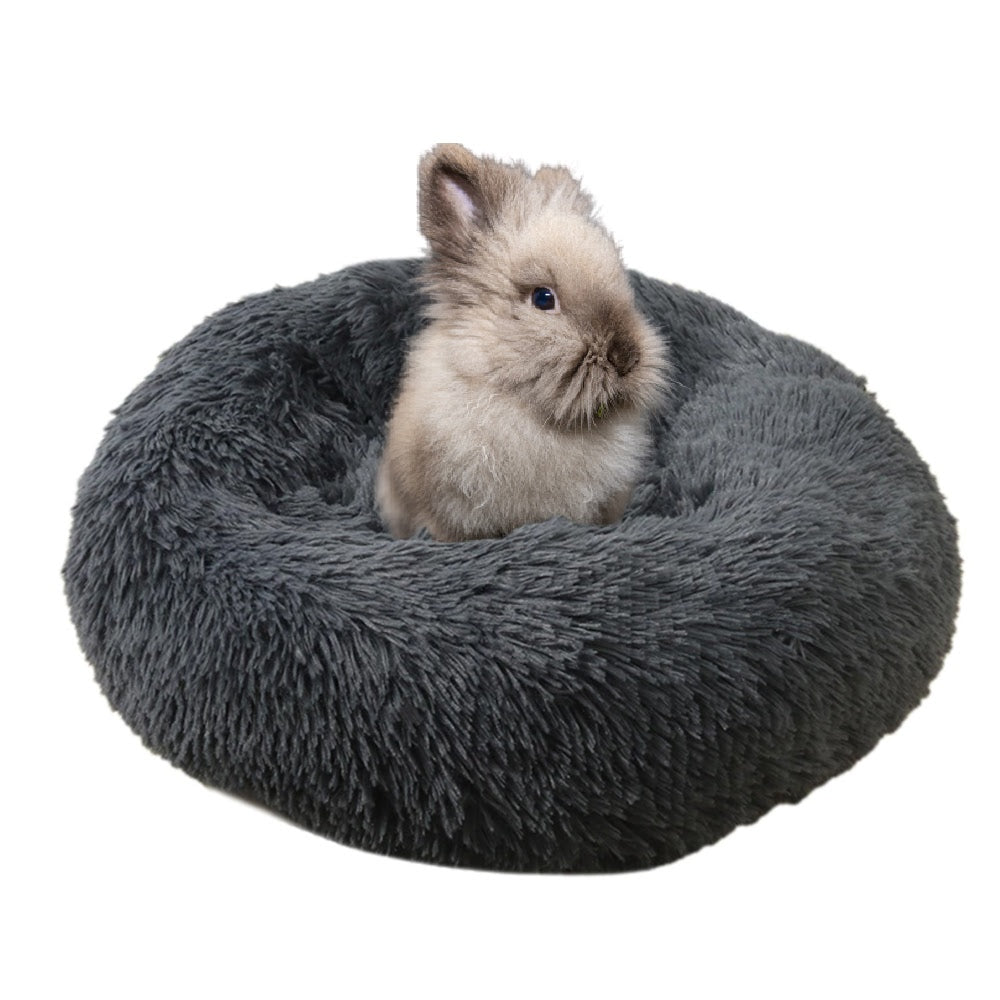 pet rabbit bed