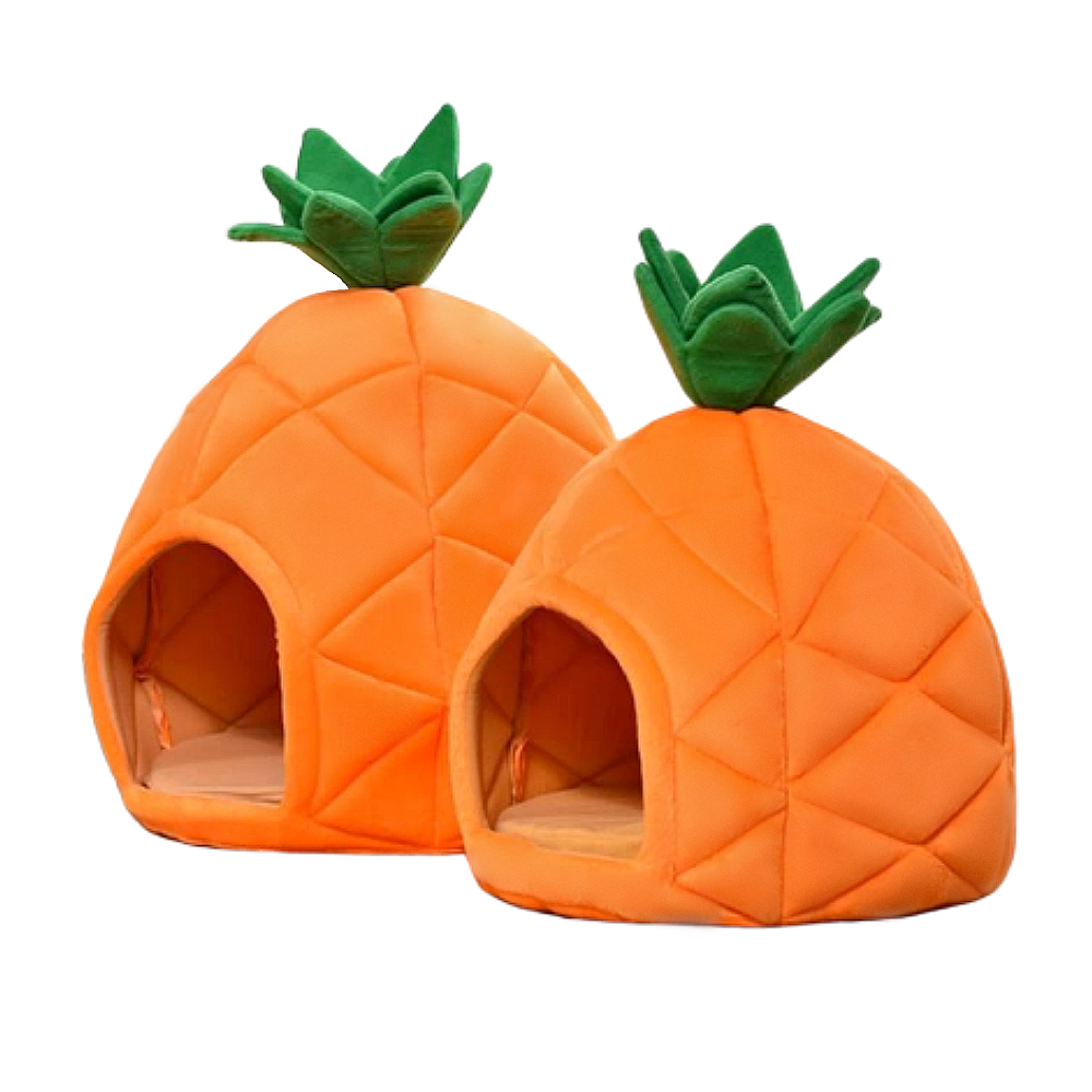 Pineapple Pet Bed Hop & Bark
