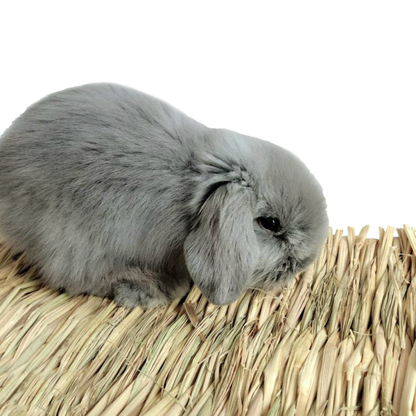 Rabbit straw mat