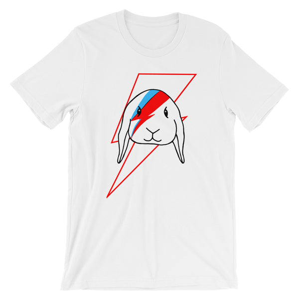 Holland lop shirt in white